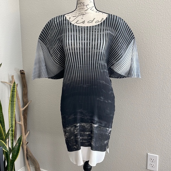 Issey Miyake Dresses & Skirts - New! Issey Miyake Pleated Dress